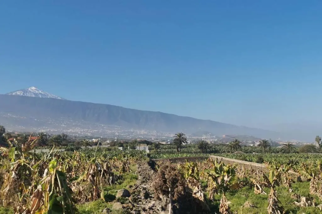 Araguaney, Finca Jardin Del Rincon Apartment La Orotava 0*,